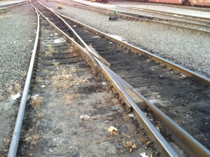 Prototype Track (1) Self Guarded Frog